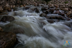 _MG_4059