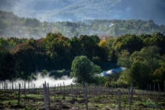 Rally Predgorya Kavkaza 2018