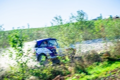 Rally Predgorya Kavkaza 2018