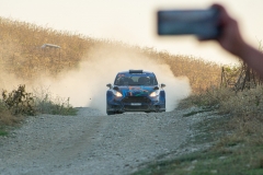 rally-329